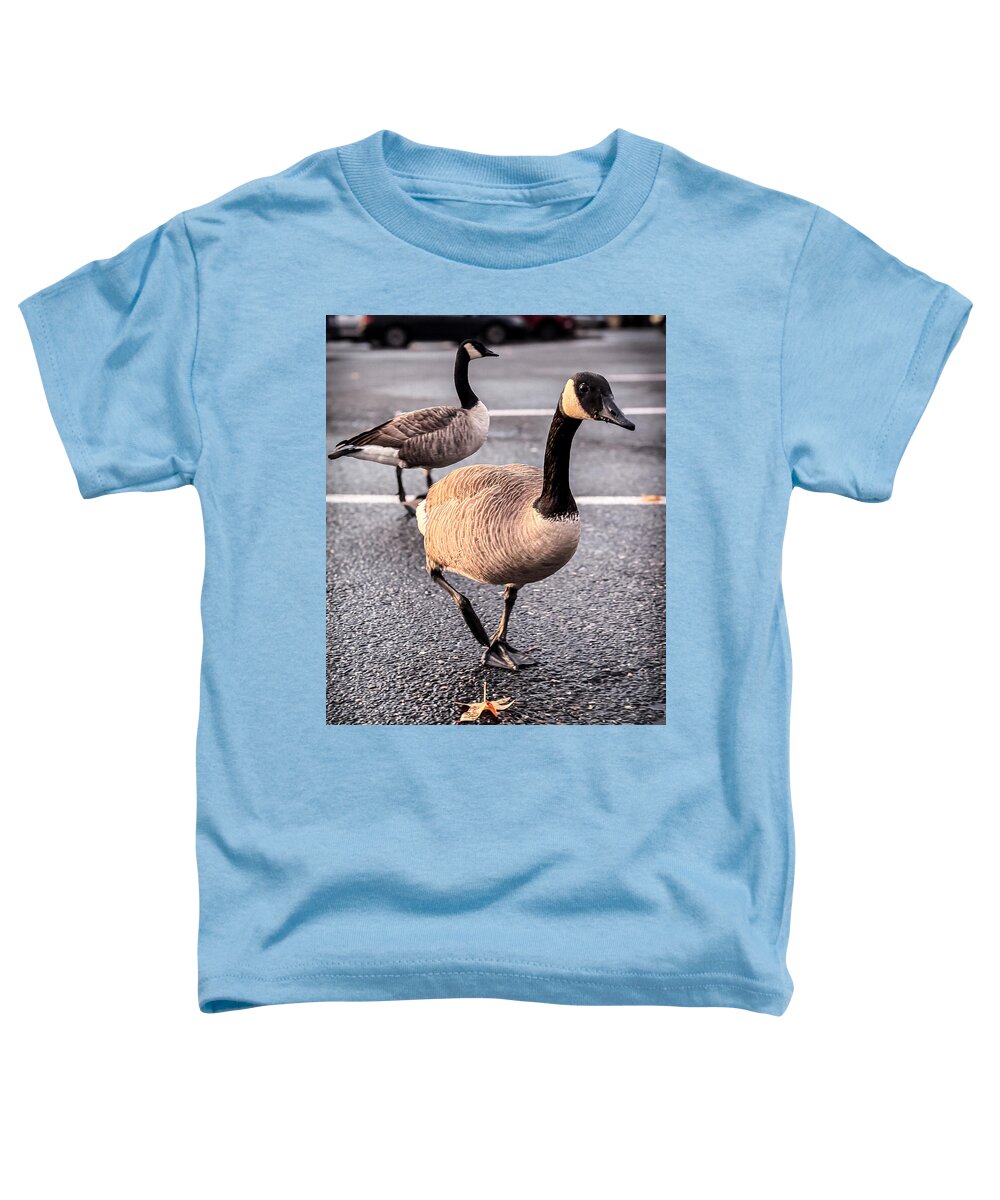 Geese in the parking lot - Toddler T-Shirt