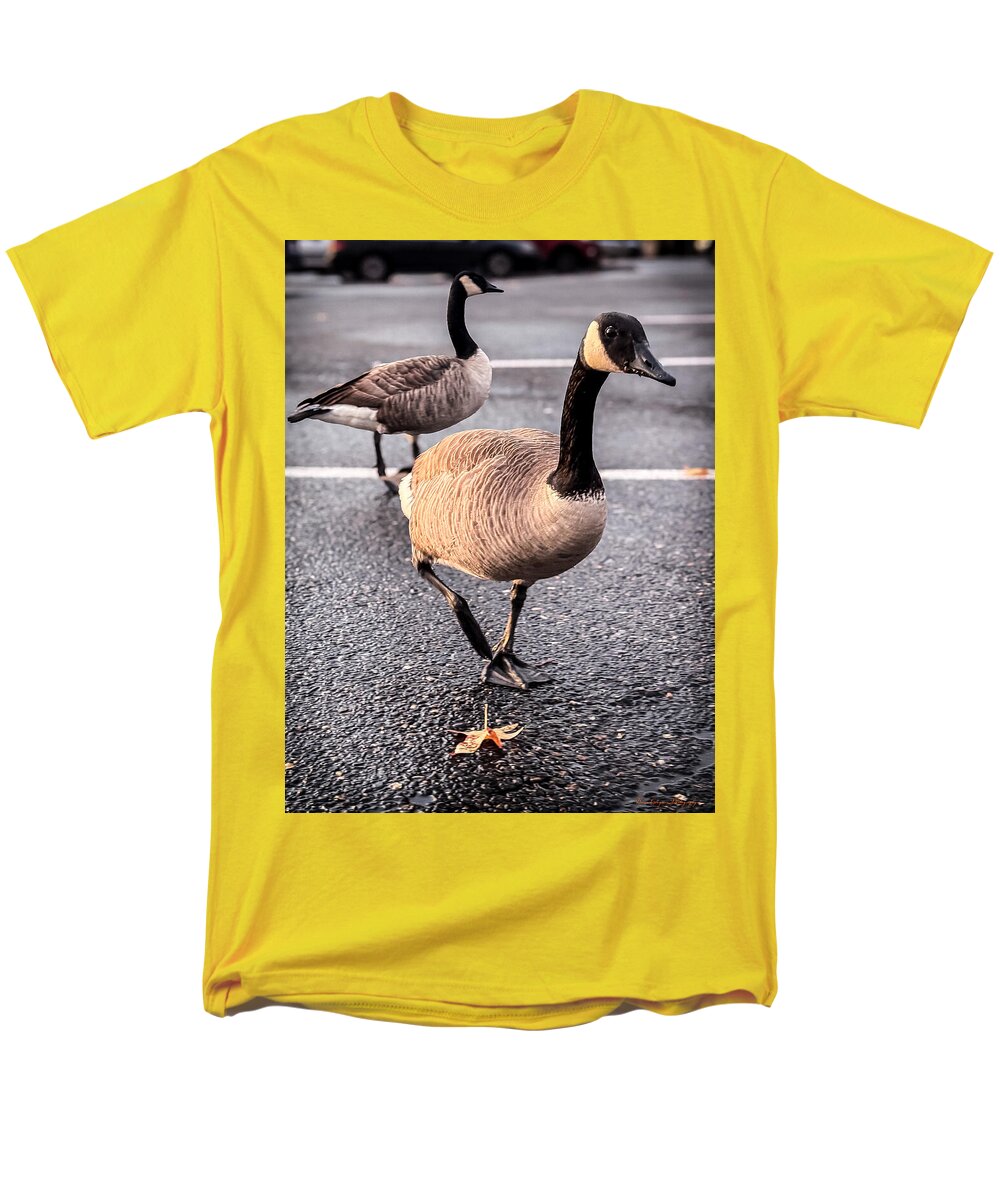 Geese in the parking lot - Men's T-Shirt (Regular Fit)