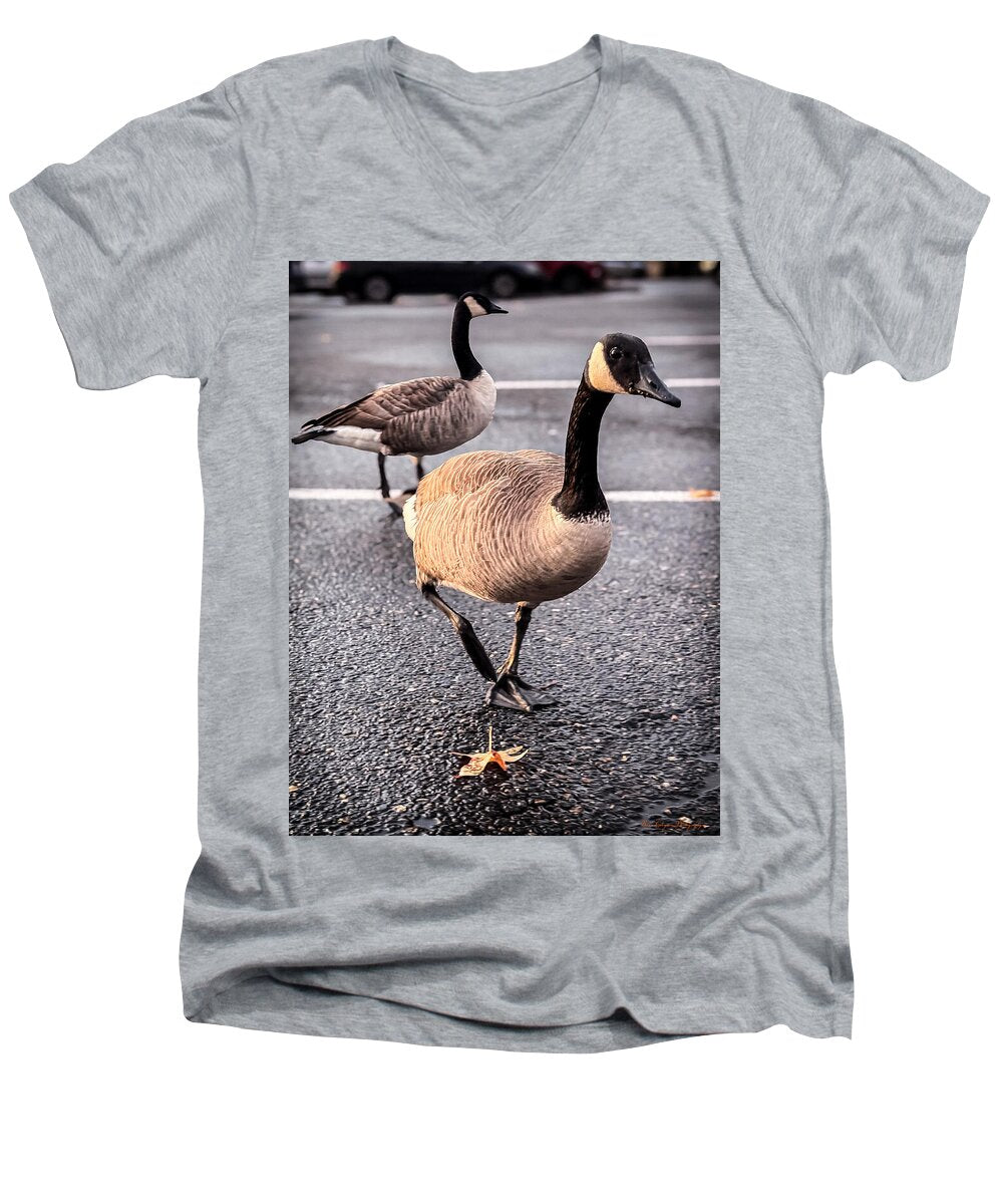 Geese in the parking lot - Men's V-Neck T-Shirt