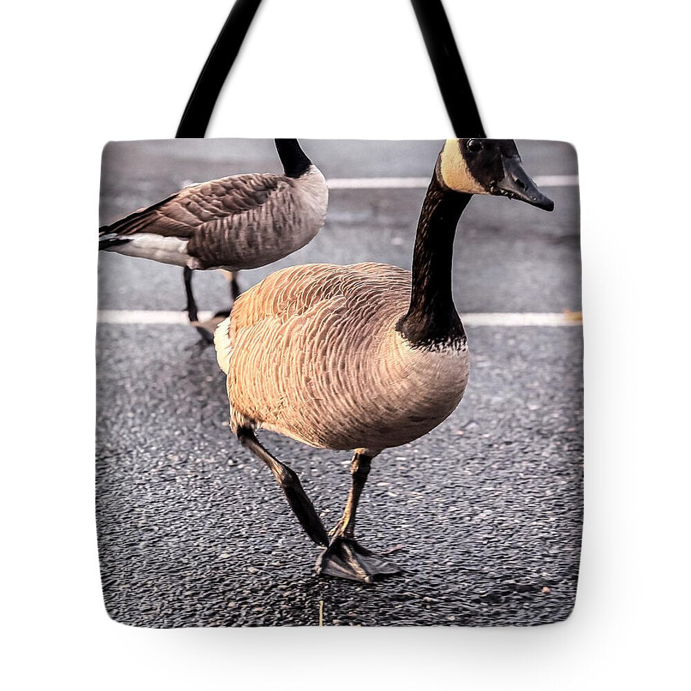 Geese in the parking lot - Tote Bag