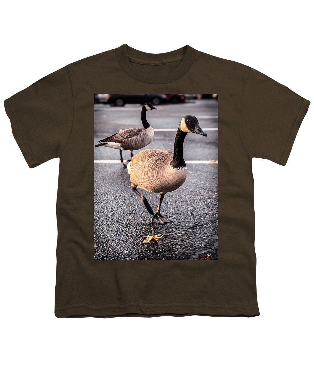 Geese in the parking lot - Youth T-Shirt