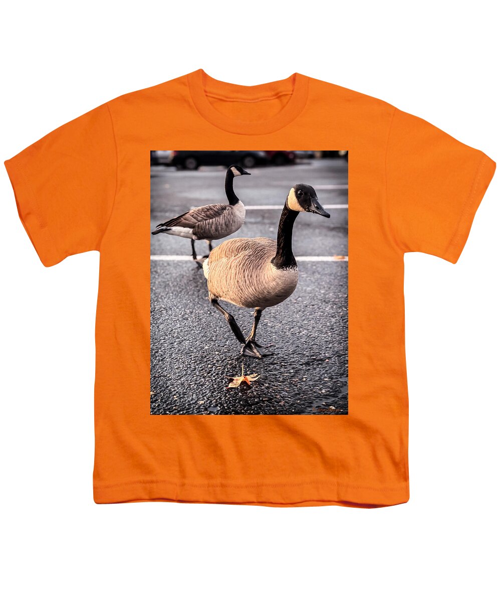 Geese in the parking lot - Youth T-Shirt