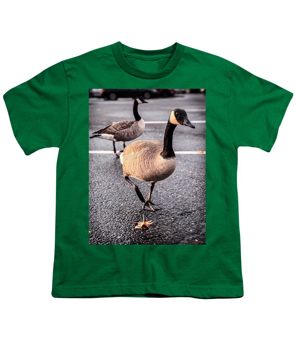 Geese in the parking lot - Youth T-Shirt
