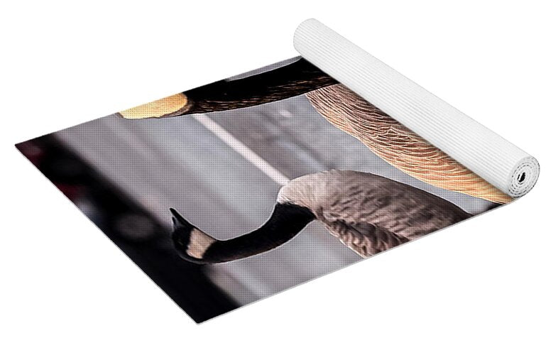 Geese in the parking lot - Yoga Mat
