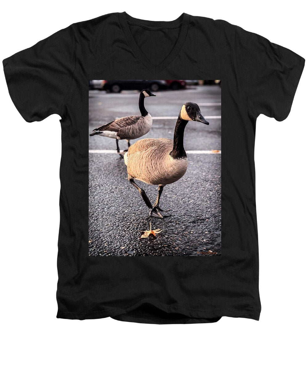 Geese in the parking lot - Men's V-Neck T-Shirt