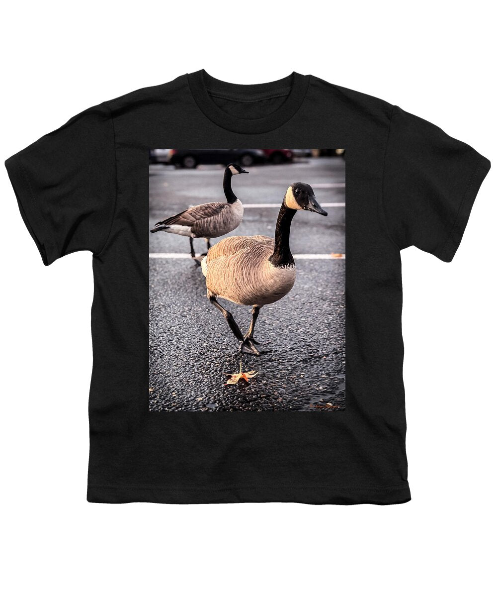 Geese in the parking lot - Youth T-Shirt