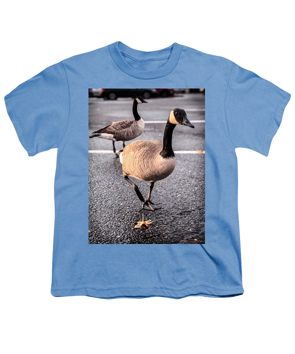 Geese in the parking lot - Youth T-Shirt