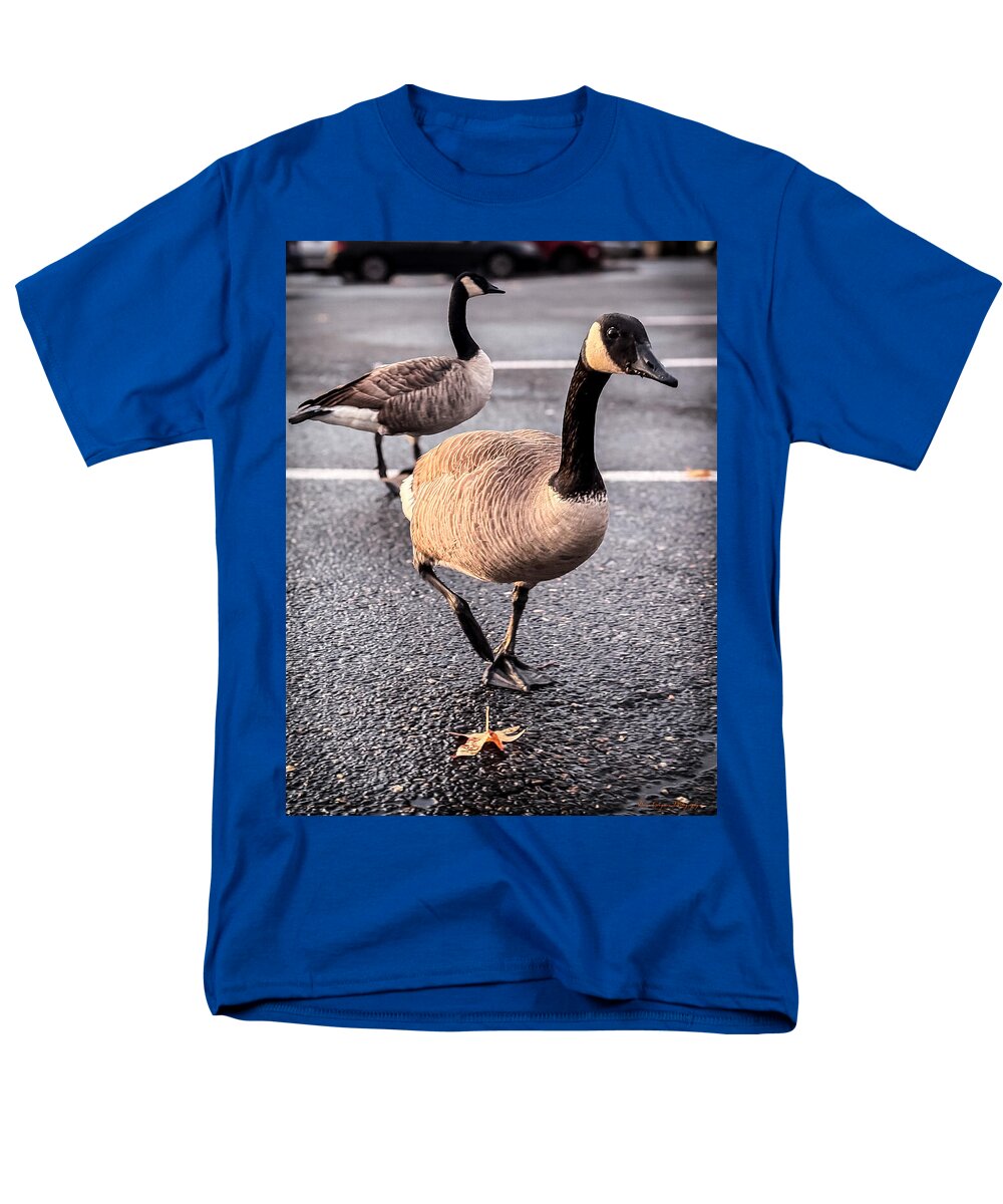 Geese in the parking lot - Men's T-Shirt (Regular Fit)
