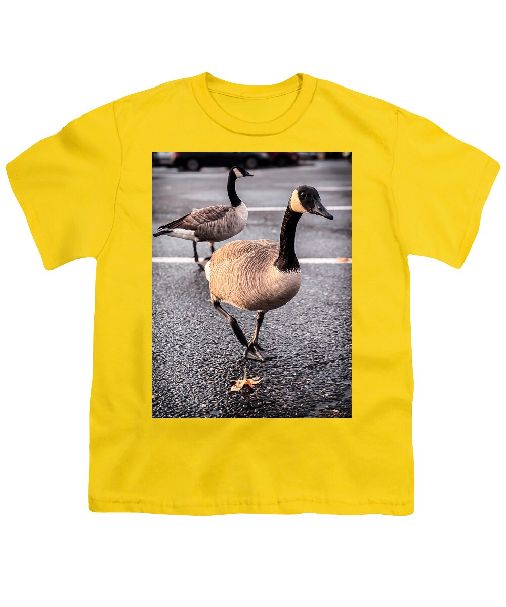 Geese in the parking lot - Youth T-Shirt