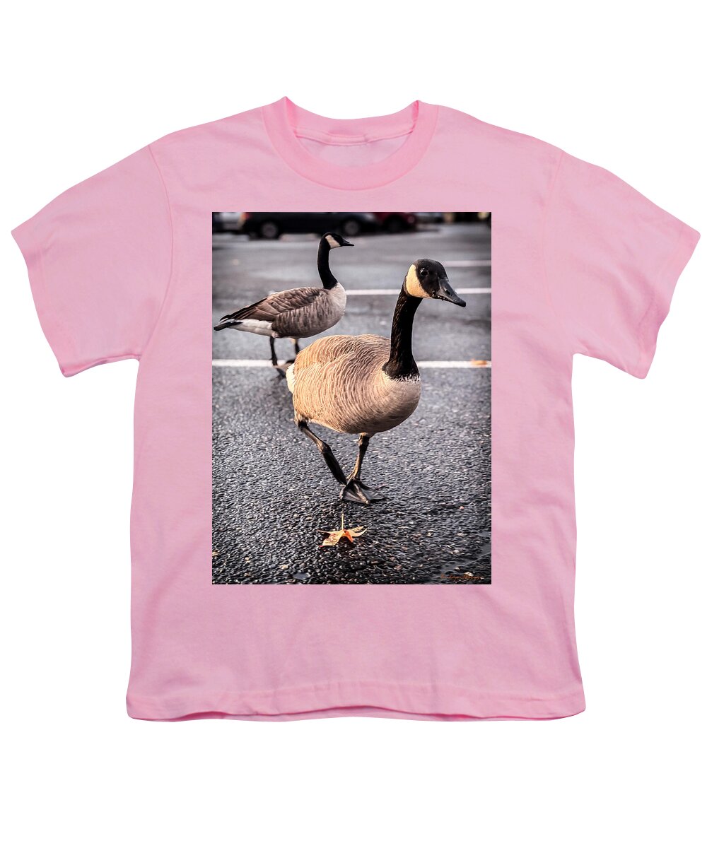Geese in the parking lot - Youth T-Shirt