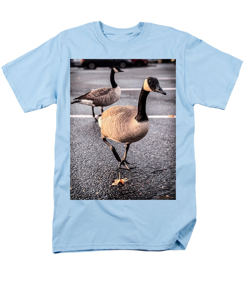Geese in the parking lot - Men's T-Shirt (Regular Fit)