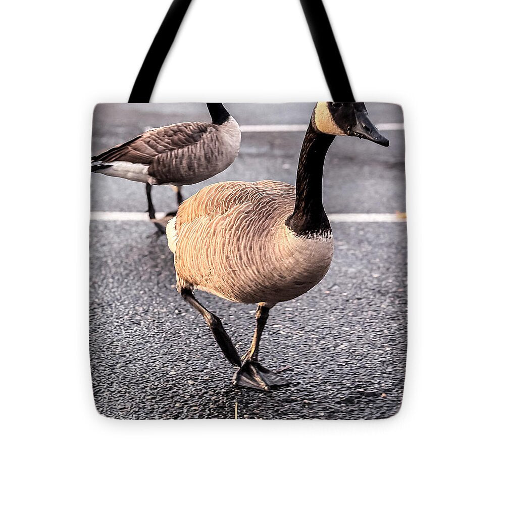 Geese in the parking lot - Tote Bag