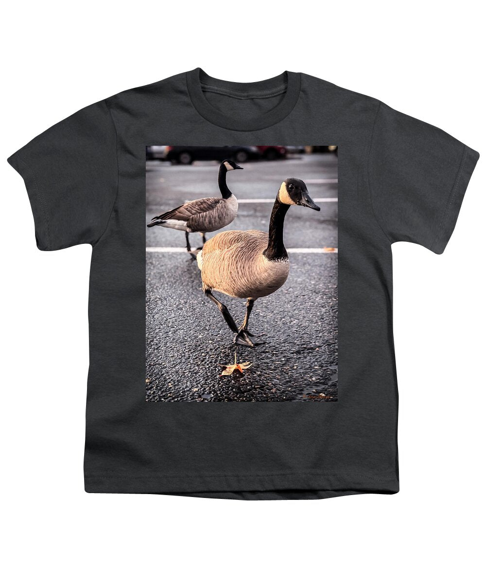 Geese in the parking lot - Youth T-Shirt
