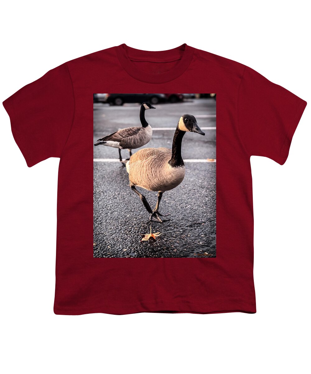Geese in the parking lot - Youth T-Shirt