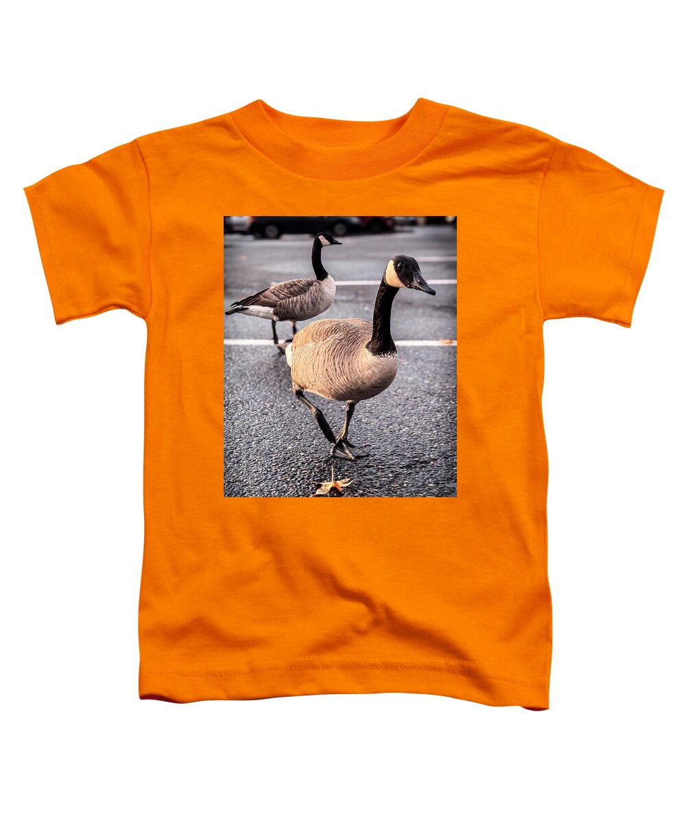 Geese in the parking lot - Toddler T-Shirt
