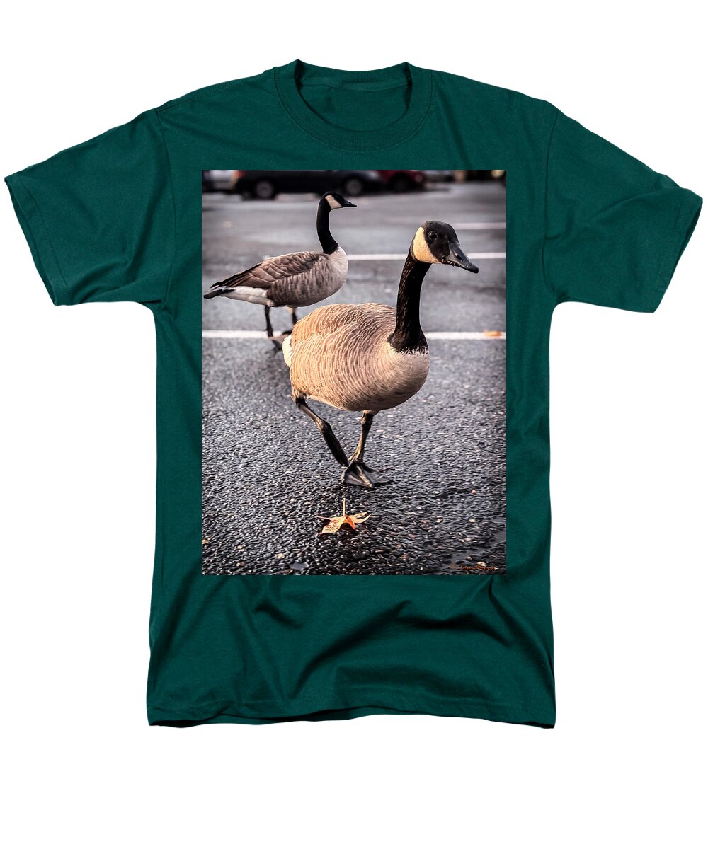 Geese in the parking lot - Men's T-Shirt (Regular Fit)