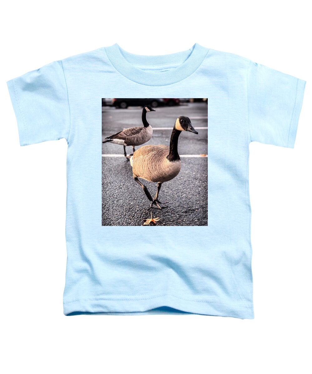 Geese in the parking lot - Toddler T-Shirt