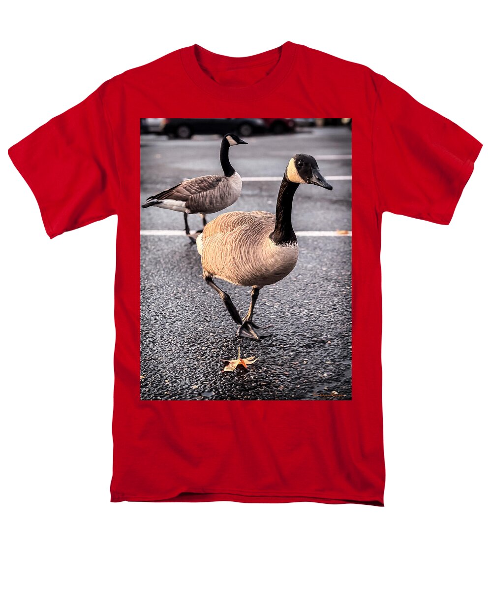 Geese in the parking lot - Men's T-Shirt (Regular Fit)