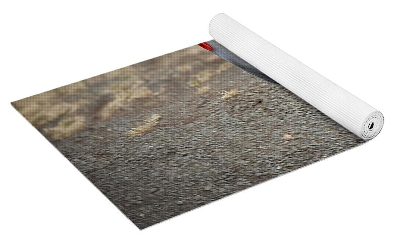 Goosed - Yoga Mat