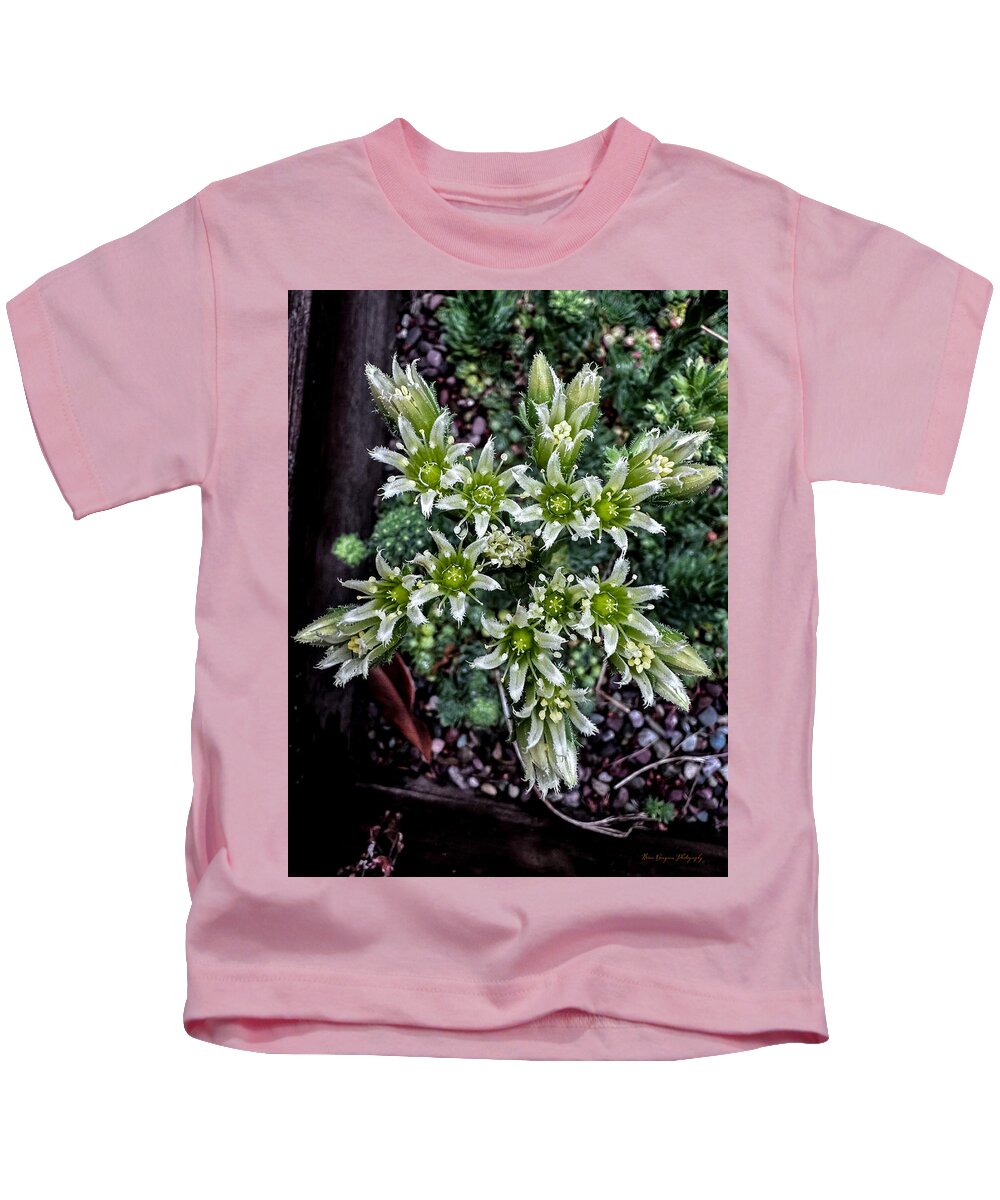 Green and white - Kids T-Shirt
