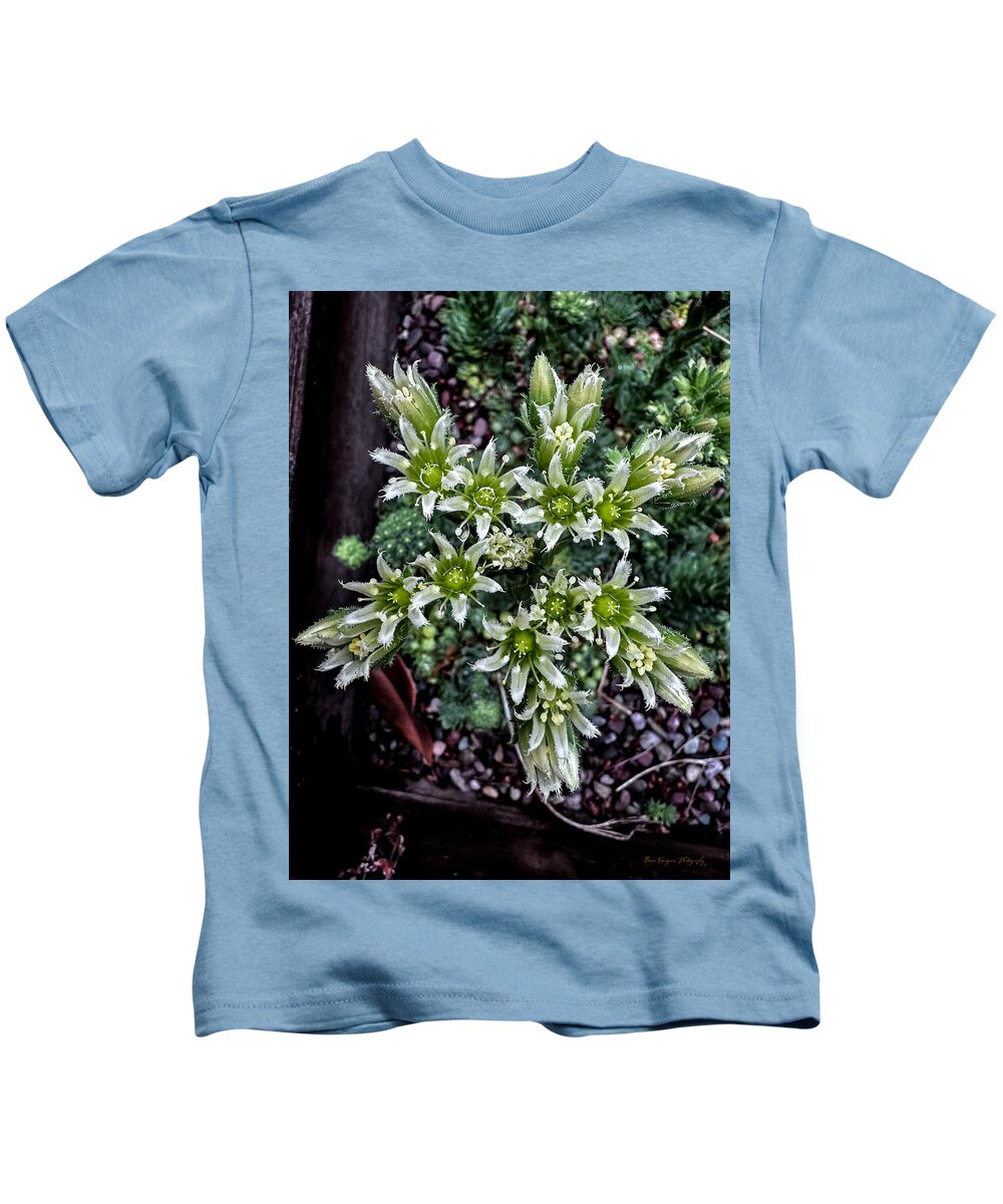 Green and white - Kids T-Shirt