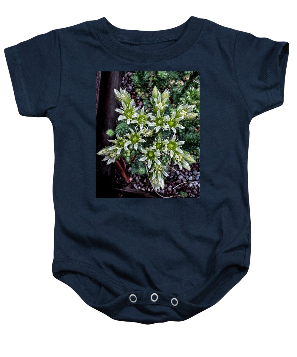 Green and white - Baby Onesie