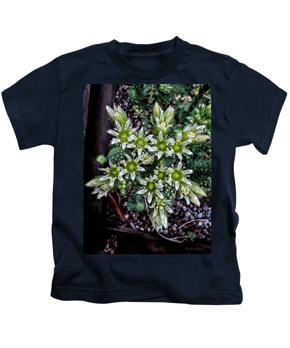 Green and white - Kids T-Shirt