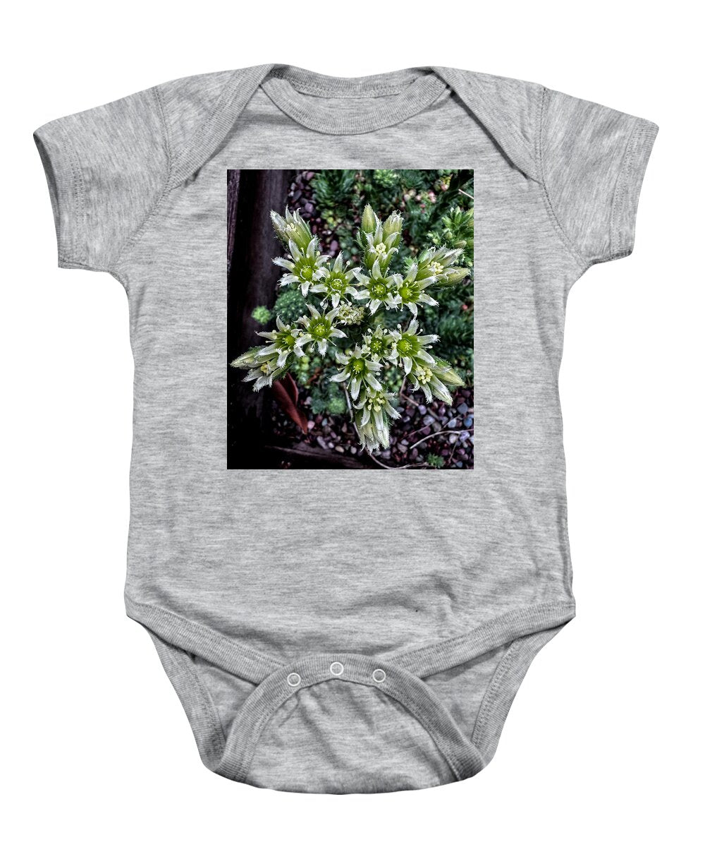 Green and white - Baby Onesie