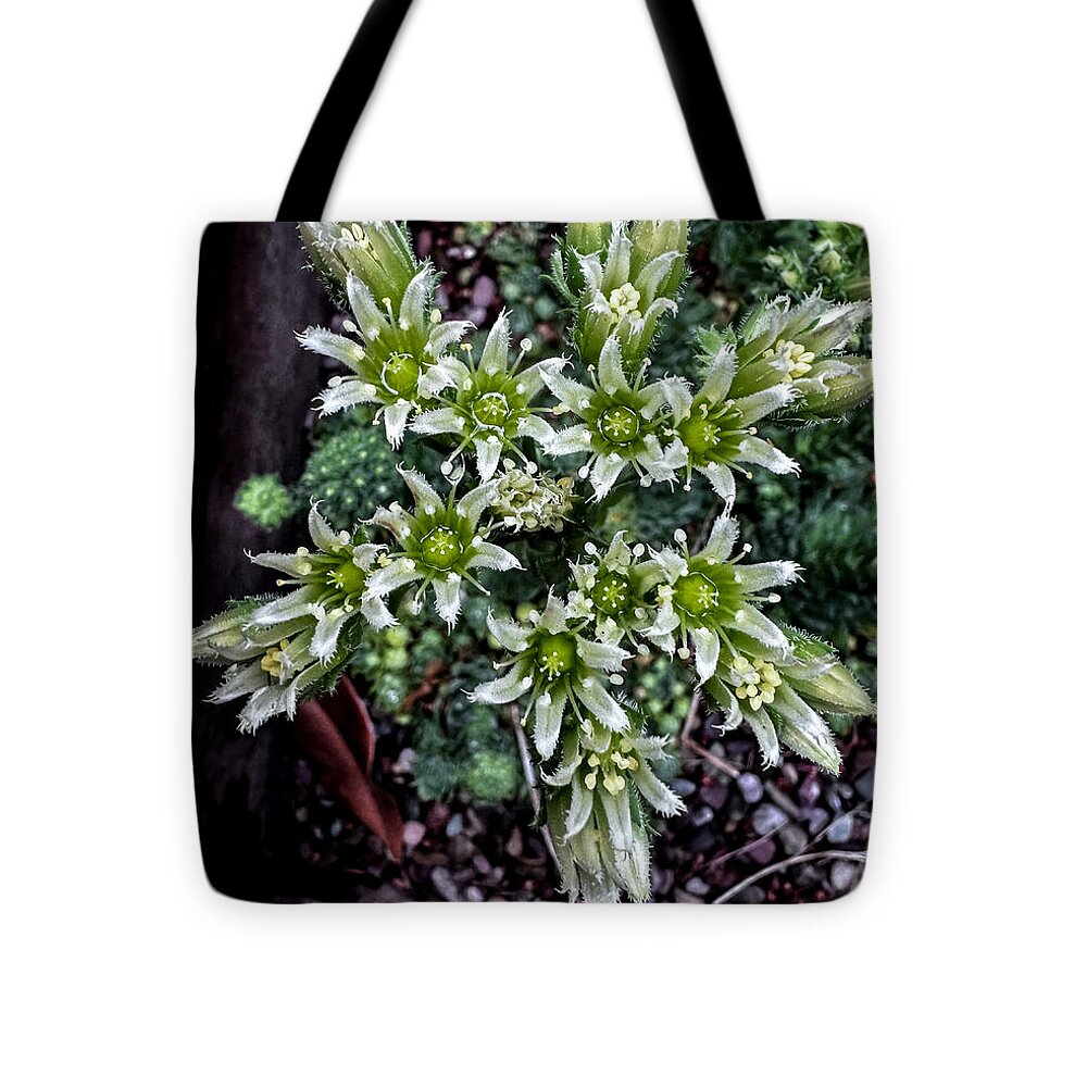 Green and white - Tote Bag