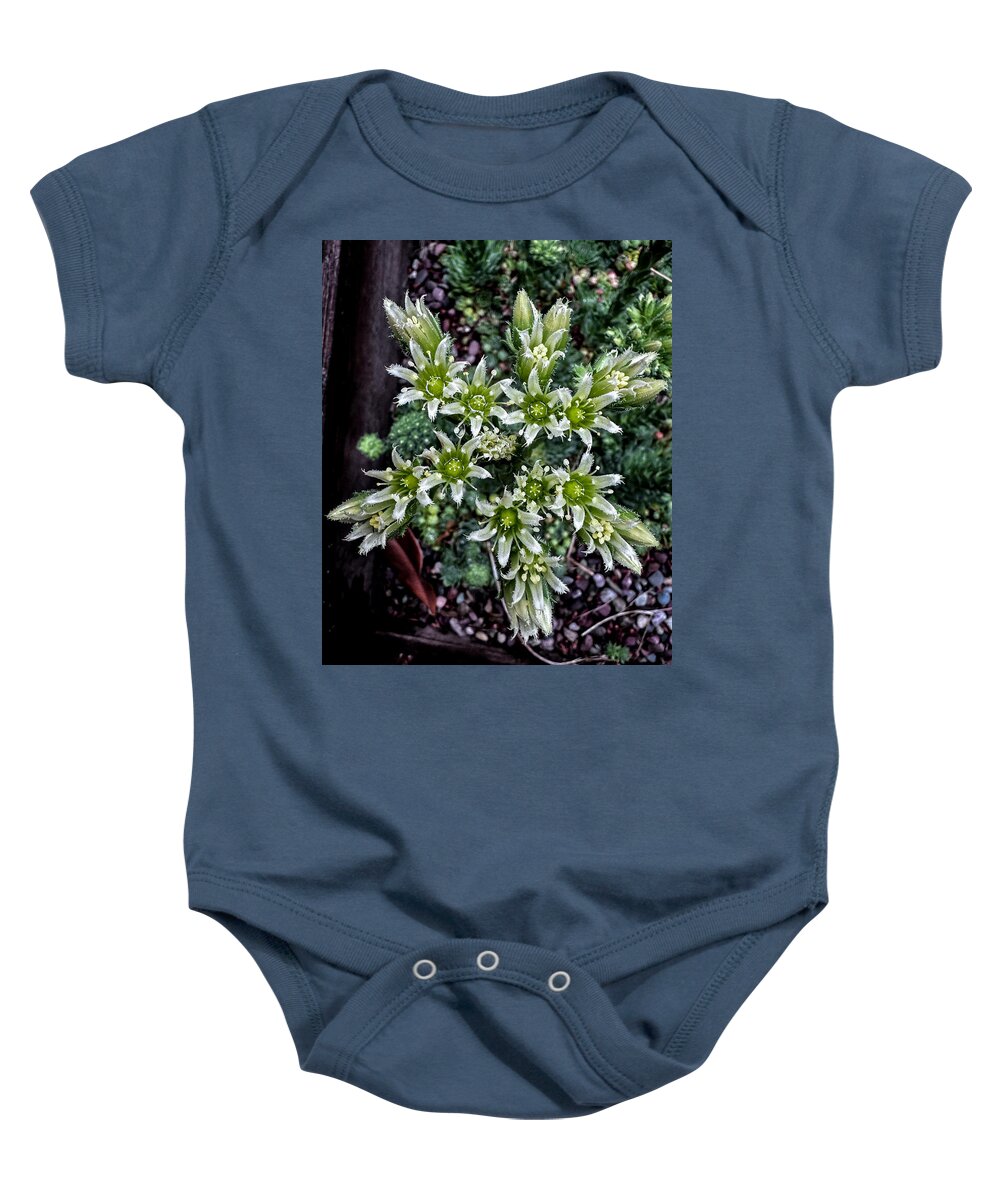 Green and white - Baby Onesie