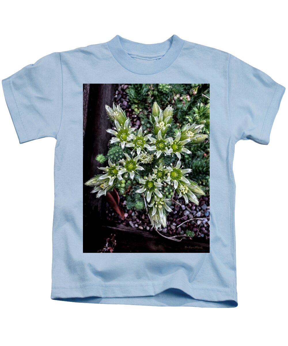 Green and white - Kids T-Shirt