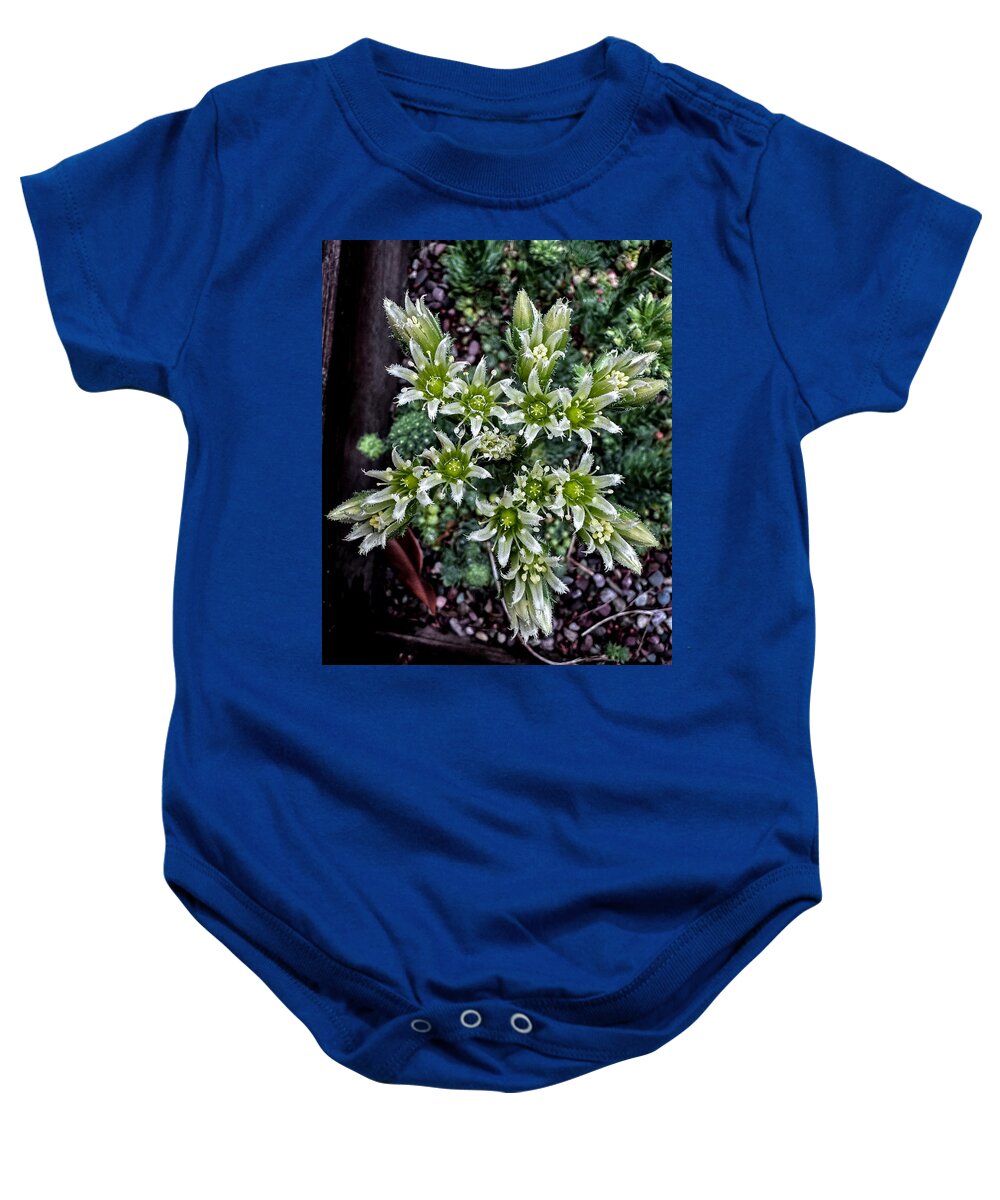 Green and white - Baby Onesie