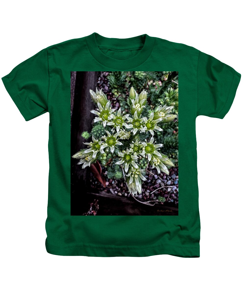 Green and white - Kids T-Shirt