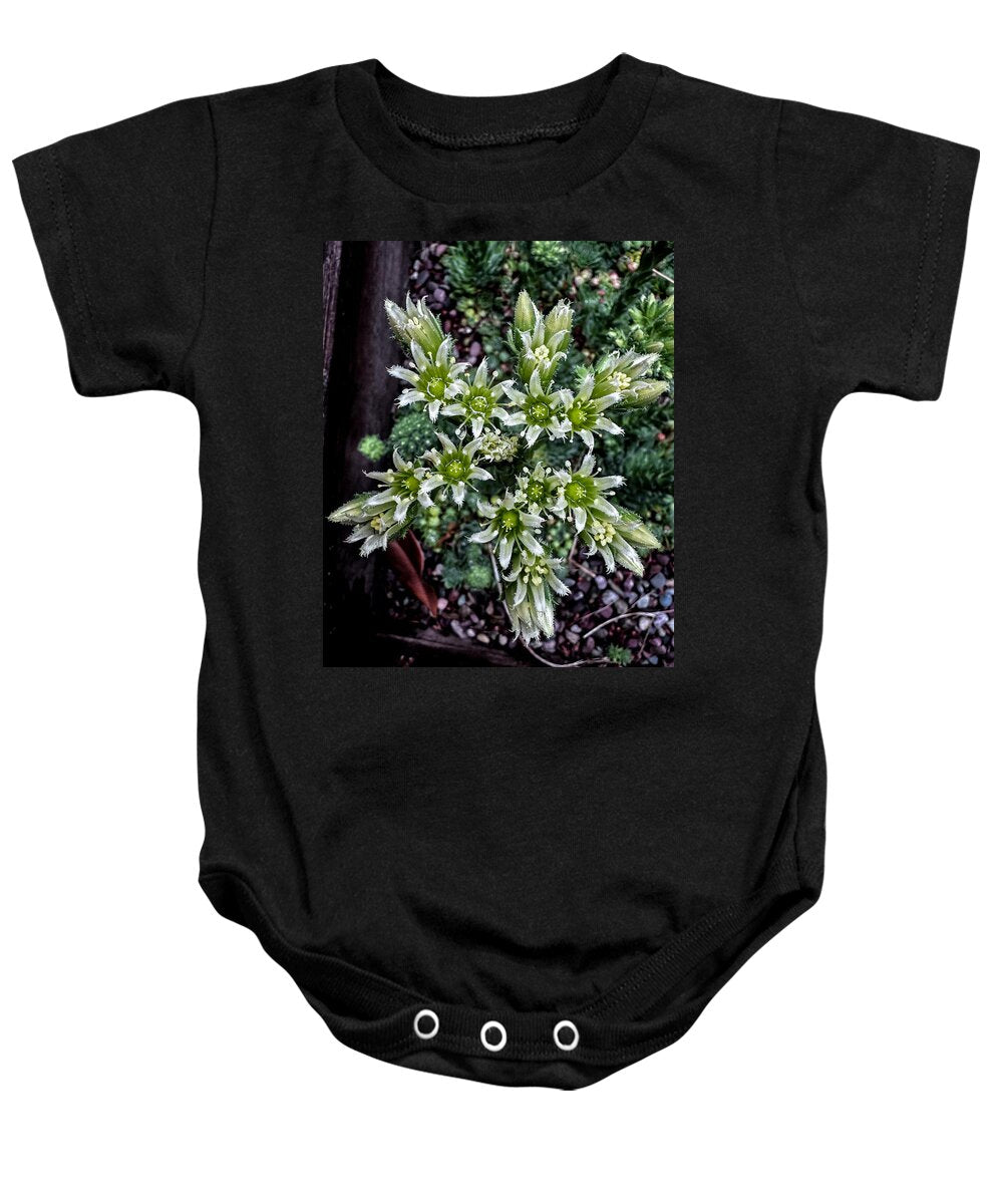 Green and white - Baby Onesie