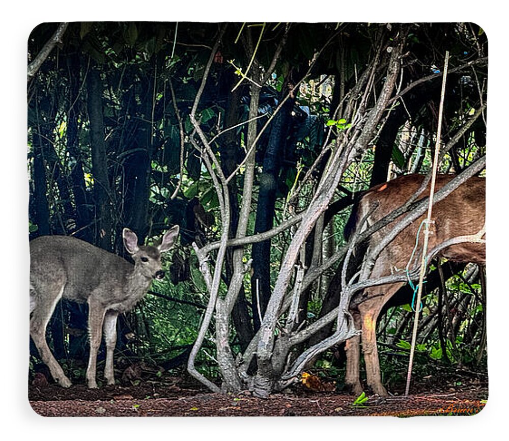 Mom and family - Blanket