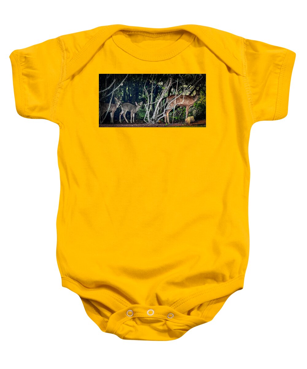 Mom and family - Baby Onesie