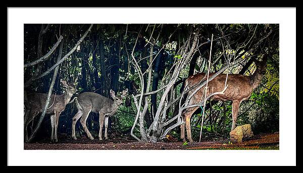 Mom and family - Framed Print