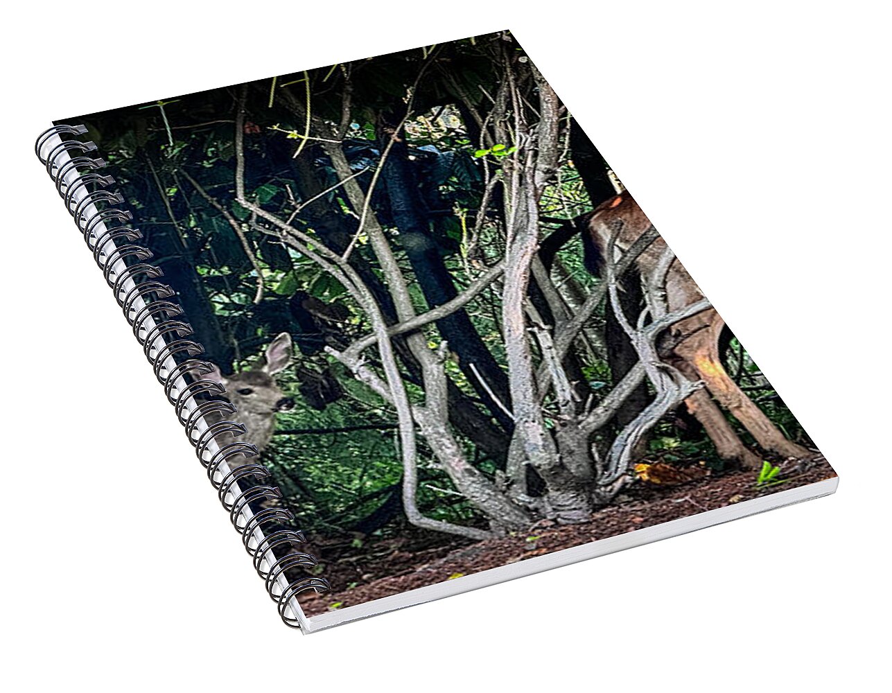 Mom and family - Spiral Notebook