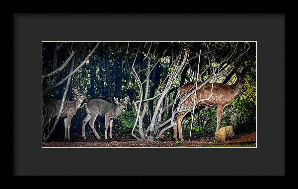 Mom and family - Framed Print