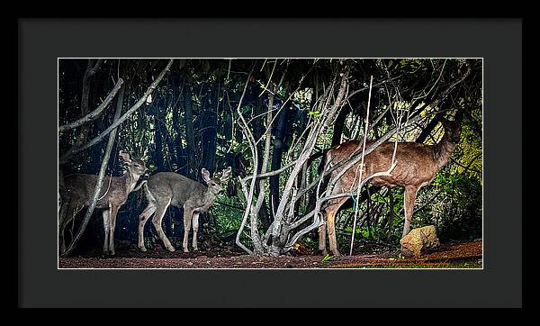 Mom and family - Framed Print