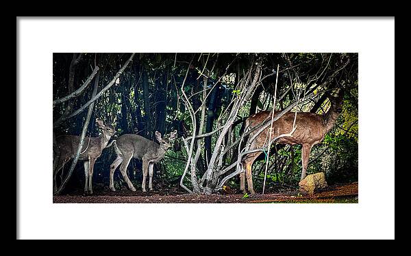 Mom and family - Framed Print