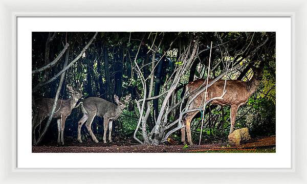Mom and family - Framed Print