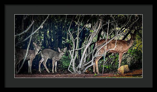 Mom and family - Framed Print