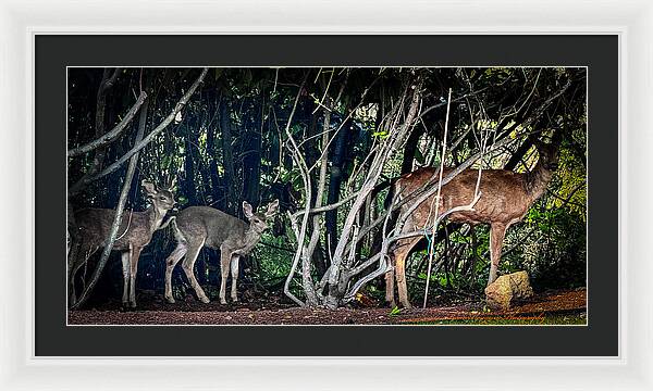 Mom and family - Framed Print