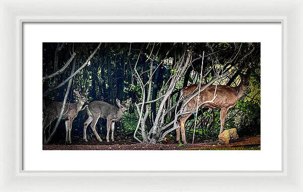 Mom and family - Framed Print