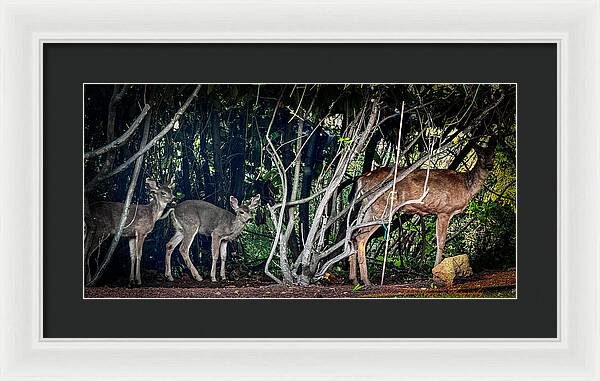 Mom and family - Framed Print