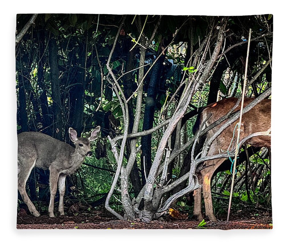 Mom and family - Blanket