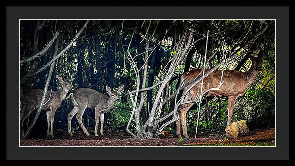 Mom and family - Framed Print