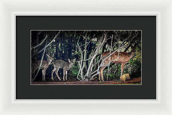 Mom and family - Framed Print