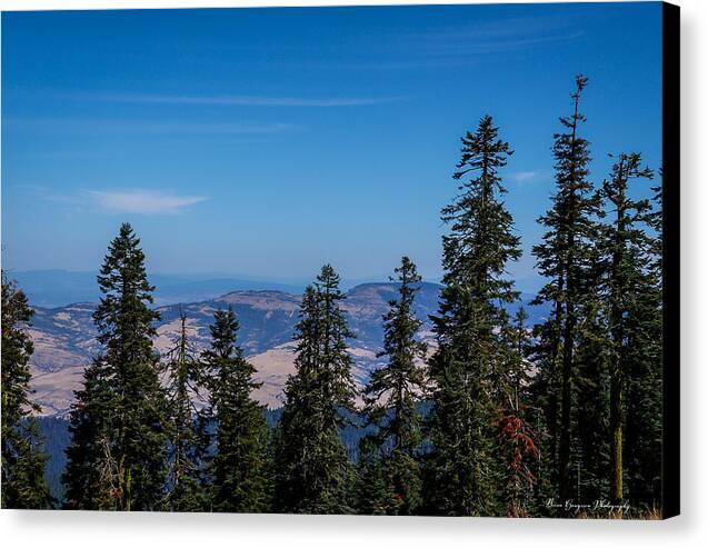 Mt Shasta 3 - Canvas Print